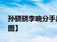 孙骁骁李响分手原因曝光 两人已微博取关【图】