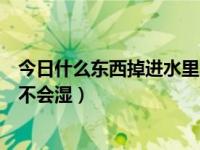 今日什么东西掉进水里不会湿猜对有奖（什么东西掉进水里不会湿）