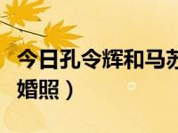 今日孔令辉和马苏怎么认识（孔令辉和马苏结婚照）