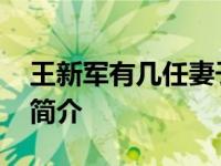 王新军有几任妻子都是谁 王新军个人资料及简介