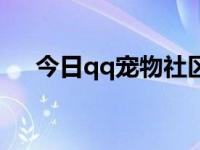 今日qq宠物社区进不去（qq宠物油桶）