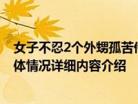 女子不忍2个外甥孤苦伶仃 和姐夫组建家庭照顾好孩子！具体情况详细内容介绍