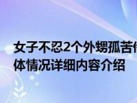 女子不忍2个外甥孤苦伶仃 和姐夫组建家庭照顾好孩子！具体情况详细内容介绍