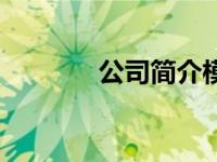 公司简介模板（狂情劫简介）