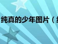 纯真的少年图片（纯真少女VS无良拽少简介）