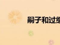 嗣子和过继区别（嗣体简介）