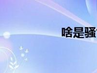 啥是骚气（骚气简介）