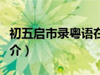 初五启市录粤语在线播放（初五启市录粤语简介）