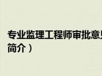 专业监理工程师审批意见规范用语（C2C-电子商务专业用语简介）