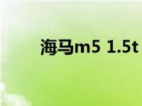 海马m5 1.5t（海马M5 1.5T简介）