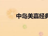 中岛美嘉经典歌曲（中岛爱简介）