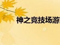 神之竞技场游戏（神之竞技场简介）