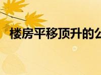 楼房平移顶升的公司南京（楼房平移简介）
