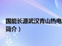 国能长源武汉青山热电有限公司简介（长源距声波全波列测简介）