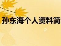 孙东海个人资料简介及家世（野蛮娇妻简介）