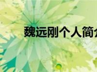 魏远刚个人简介（魏-汉语汉字简介）