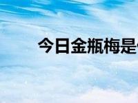 今日金瓶梅是什么（金瓶梅是什么）