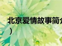 北京爱情故事简介视频（北京爱情故事2简介）