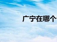 广宁在哪个省（广宁在线简介）