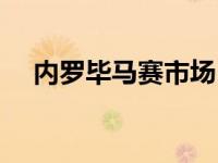内罗毕马赛市场（内罗毕行动纲领简介）