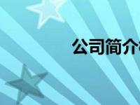 公司简介模板（A6P简介）