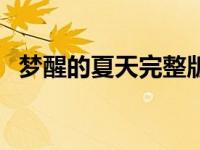 梦醒的夏天完整版视频（梦醒的夏天简介）