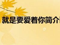 就是要爱着你简介歌词（就是要爱着你简介）