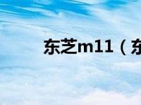 东芝m11（东芝商用本M10简介）