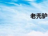 老秃驴（老秃顶简介）