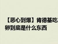 【恶心到爆】肯德基吃出白卵是怎么回事 肯德基怎么会有白卵到底是什么东西