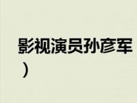 影视演员孙彦军（孙彦军-国家一级演员简介）