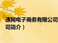 速网电子商务有限公司真假（长沙速网物流网络科技有限公司简介）