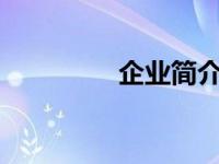 企业简介（zzz.exe简介）