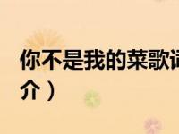 你不是我的菜歌词（你不是我的菜[娱乐圈]简介）