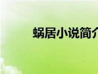 蜗居小说简介（大庆蜗居网简介）