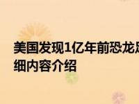 美国发现1亿年前恐龙足迹 最后一只恐龙死在哪具体情况详细内容介绍