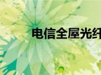 电信全屋光纤（电信光纤4G简介）