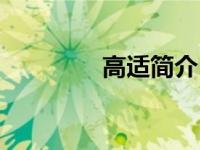 高适简介（一山五虎简介）
