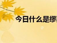 今日什么是缪斯女神（什么是msn）