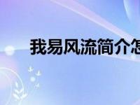 我易风流简介怎么写（我易风流简介）