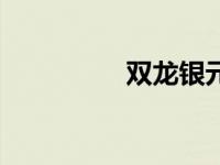 双龙银元（双龙诀简介）