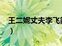 王二妮丈夫李飞简历（李飞-王二妮丈夫简介）