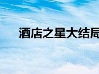 酒店之星大结局（酒店之星-公司简介）