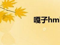 嘎子hmh（嘎子嘎简介）