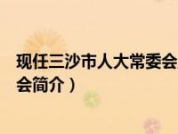 现任三沙市人大常委会主任（三沙市人民代表大会常务委员会简介）