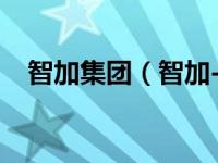 智加集团（智加-宁夏科技有限公司简介）