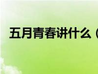 五月青春讲什么（五月烈火青春同人简介）