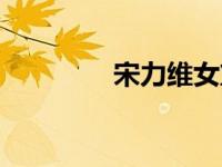 宋力维女篮（宋力维简介）