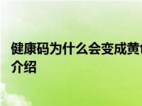 健康码为什么会变成黄色 请收好这份指南具体情况详细内容介绍