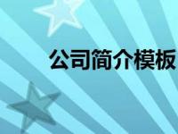 公司简介模板（冰地巴士停靠简介）